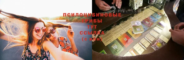 экстази Осташков