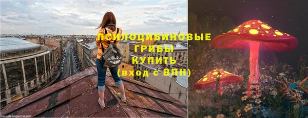 дмт Остров