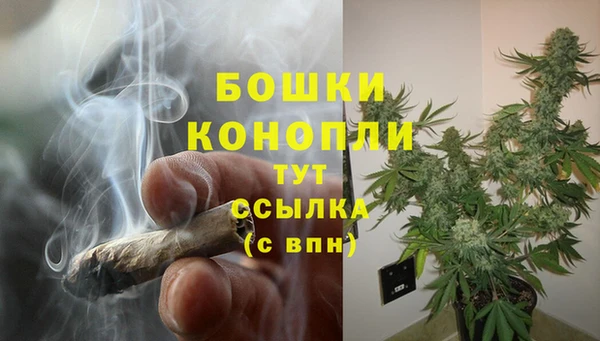 Альфа ПВП Осинники