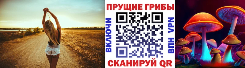 магазин продажи   Тарко-Сале  Псилоцибиновые грибы MAGIC MUSHROOMS 